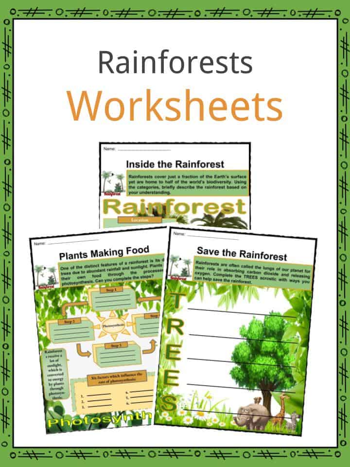 Rainforest Worksheets &  Facts for Kids | Features, Conservation ...
