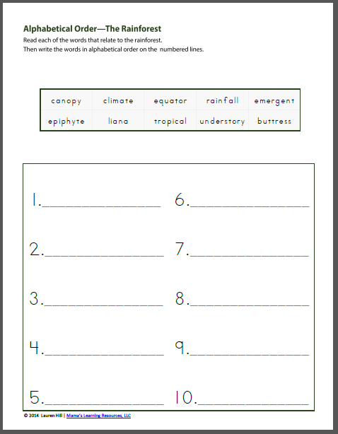 Rainforest Worksheets - Mamas Learning Corner