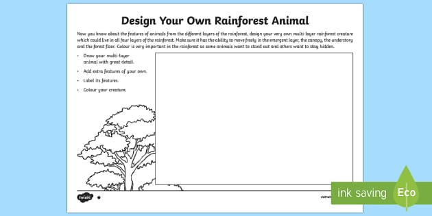 rainforest worksheet