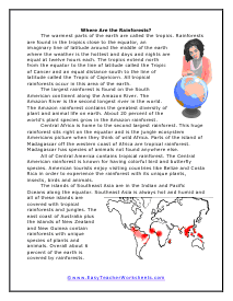 Rainforest Worksheets