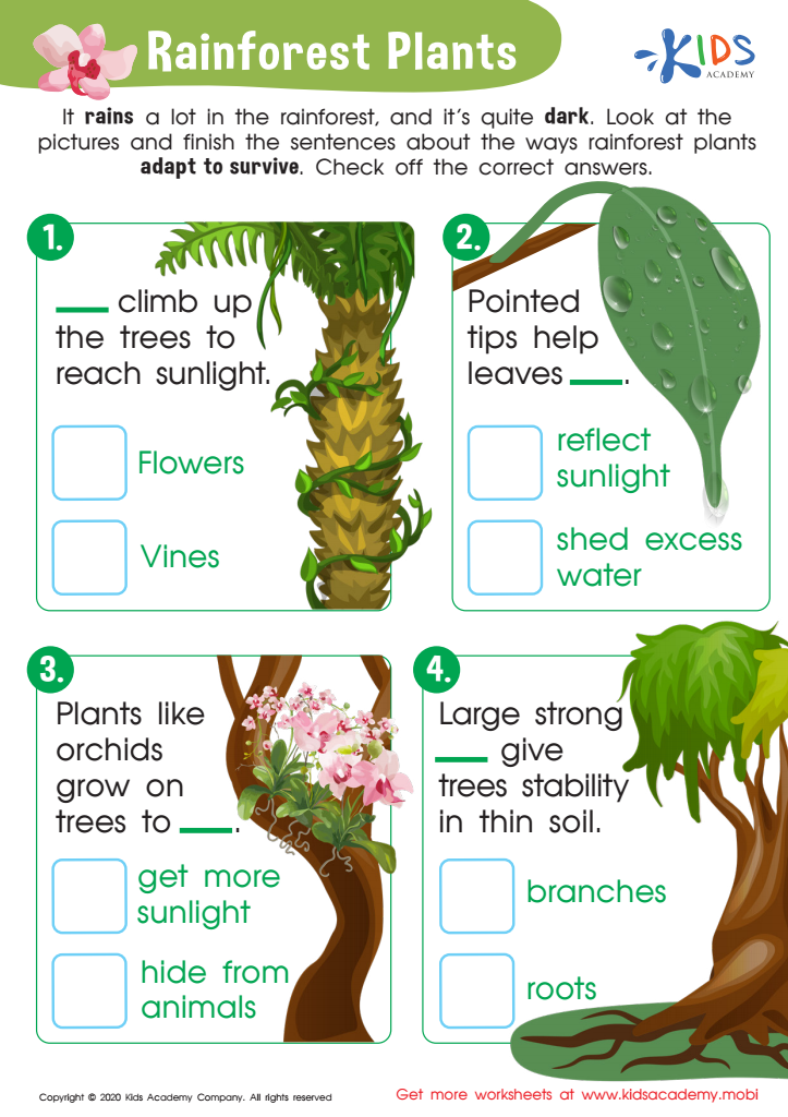 Free Rainforest Plants Worksheet worksheet for Kids