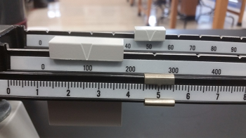 reading a triple beam balance worksheet