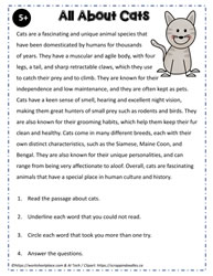 5th Grade Reading Comprehension Worksheets