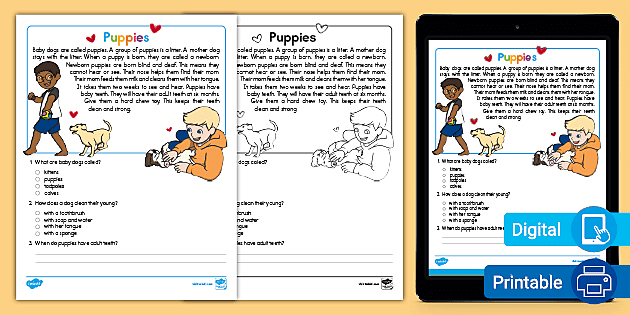 Puppy Reading Comprehension Activity for Kids | Twinkl USA