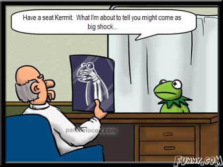 SOME JOKES | Iescarpediems Blog