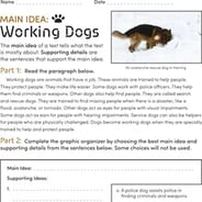 reading comprehension worksheet 3rd grade free printables