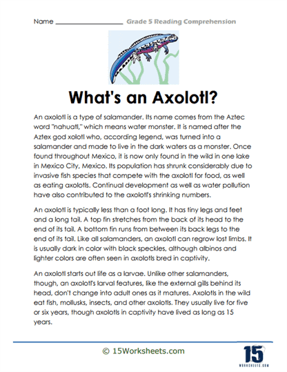 Grade 5 Reading Comprehension Worksheets