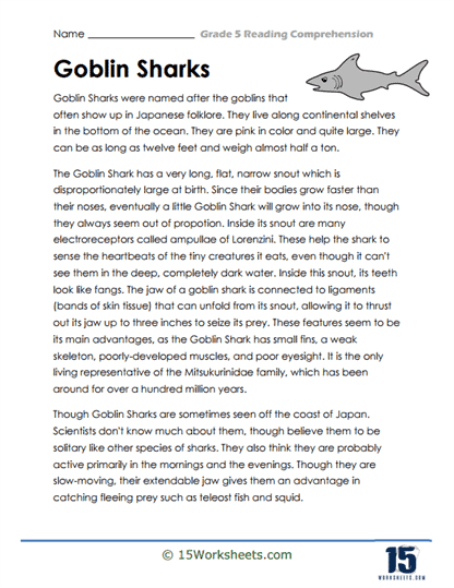 Grade 5 Reading Comprehension Worksheets
