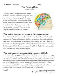 Your Amazing Brain Worksheet for 8th Grade | Lesson Planet