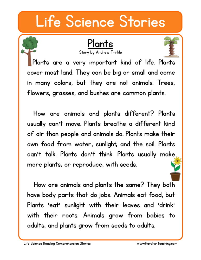 reading comprehension worksheet for adults