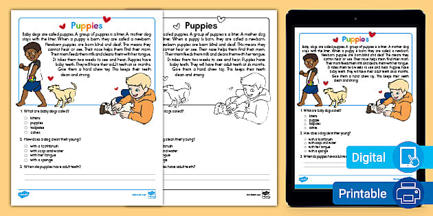 reading passages for 1st grade
