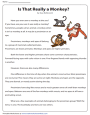 5th Grade Reading Comprehension Worksheets