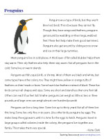 Reading Comprehension Worksheets for Grade 2