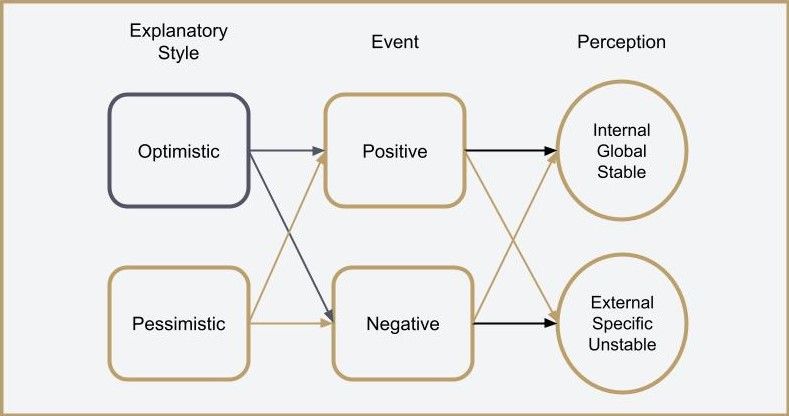 executive functioning skills - Resources From Rachel