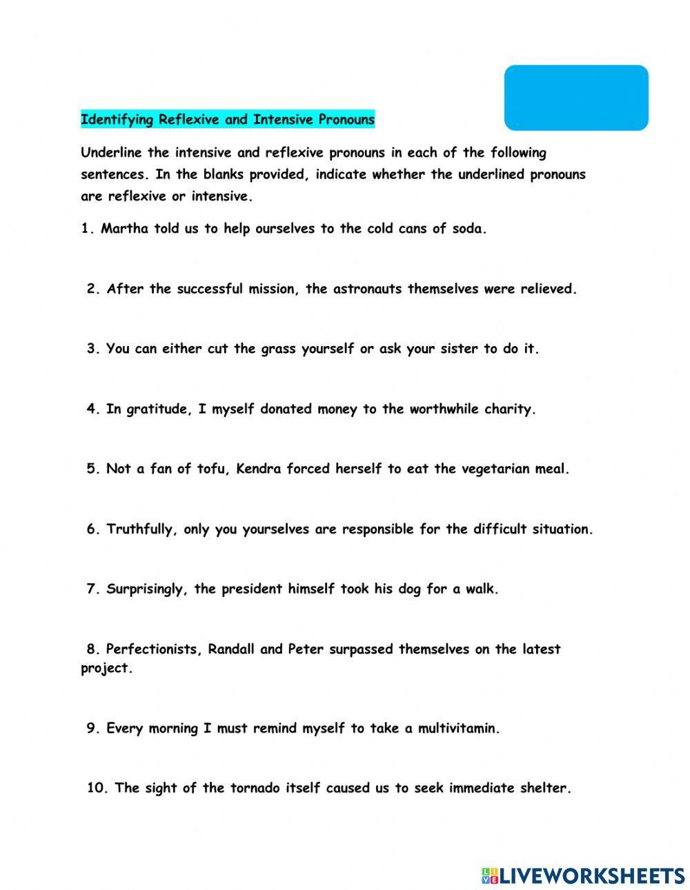 reflexive and intensive pronoun worksheet