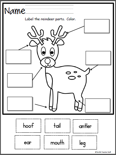 Reindeer Facts Reading Comprehension Worksheet - English Treasure ...