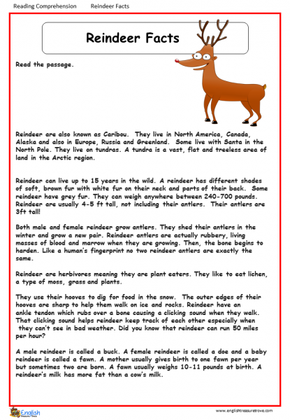 Reindeer Notebooking Page for Homeschooling - Homeschool Helper Online