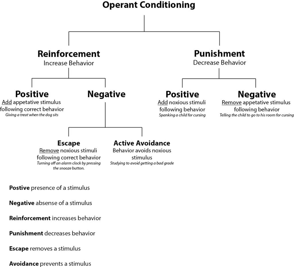 reinforcement vs punishment worksheet answers