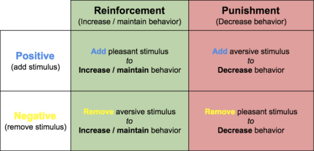 reinforcement vs punishment worksheet answers