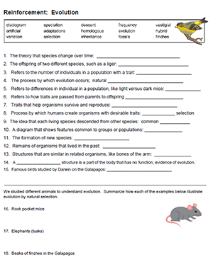 Getting Paid Reinforcement Worksheet Answers: Complete with ease ...