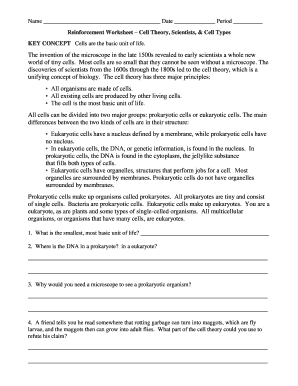 Unit 3 - Reinforcement Worksheet - Kids 1 worksheet  