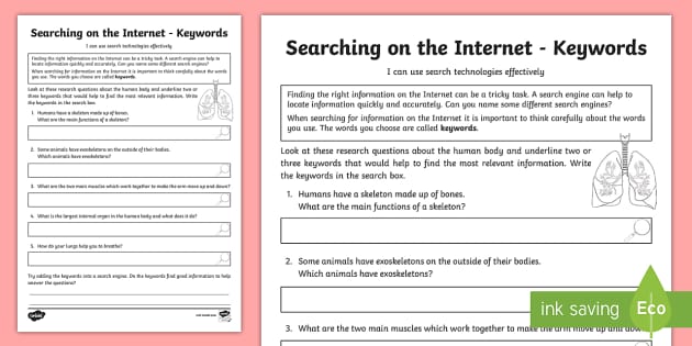 Searching the Internet: Human Body Keywords Worksheet / Worksheet