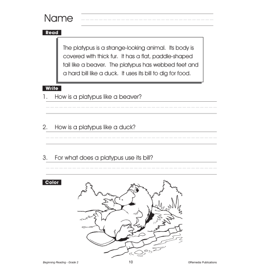 Beginning Reading {Bundle} - short passages - Grades 1, 2 &  3 ...