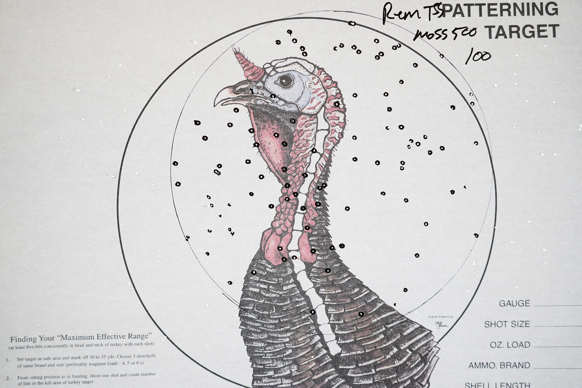 best .410 turkey loads of 2024, tested and reviewed | outdoor life