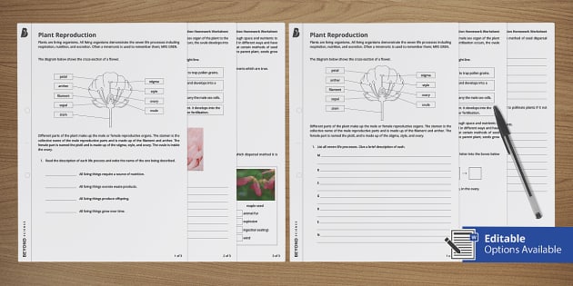 reproduction in plants worksheet