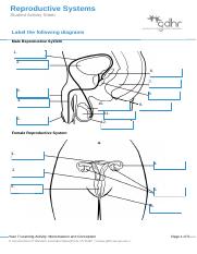 2.1.1 Reproductive Systems Teacher Answer Sheet 3 .docx ...