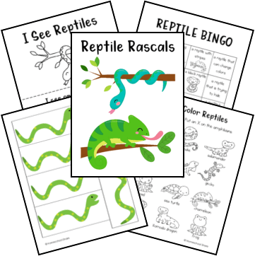 reptile worksheet for kindergarten