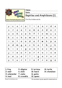 reptile worksheet for kindergarten