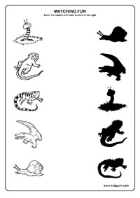 Reptiles Worksheets,Kindergarten Curriculam,Printable Activity Sheets,