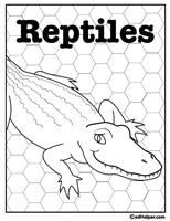 reptile worksheet for second grade