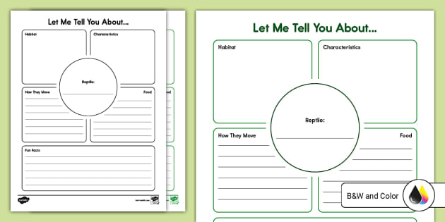 Reptile Graphic Organizer for K-2nd Grade (teacher made)