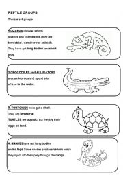 REPTILES - ESL worksheet by yovily23