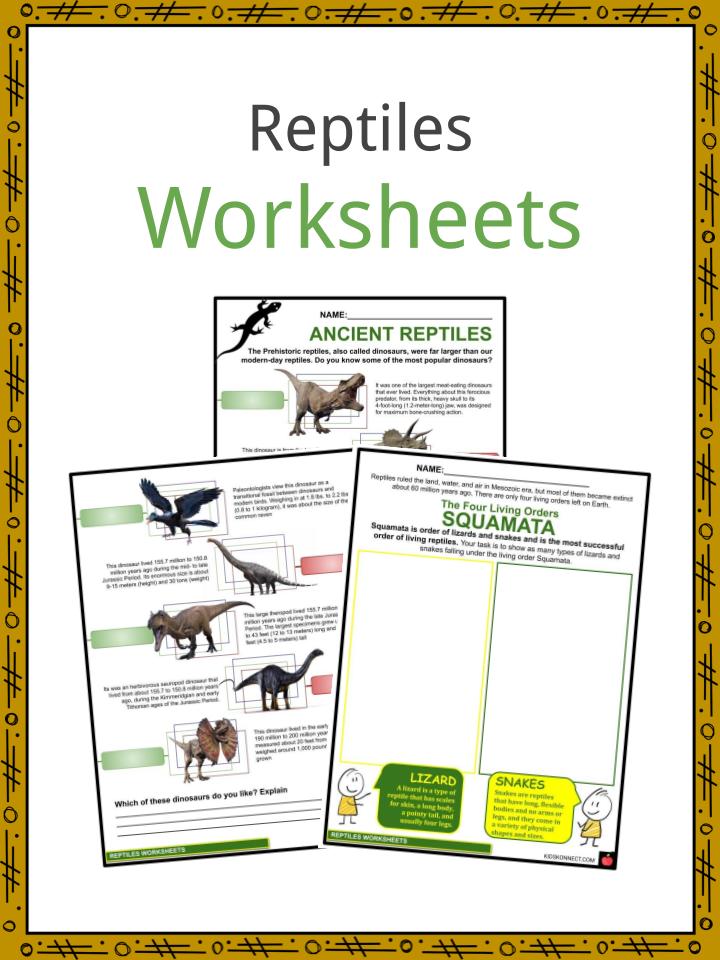 Reptiles Facts, Worksheets &  Historical Evolution For Kids