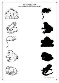 Reptiles Worksheets,K G Activity Sheet,Teachers Teaching Aid ...