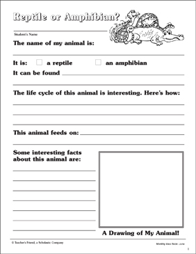 Reptiles &  Amphibians Worksheets, Activities, &  Printable Lesson ...