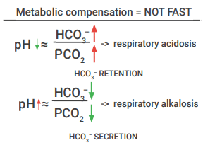 Acid-Base • LITFL • Blood gas analysis