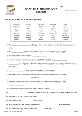 respiratory system worksheet pdf