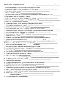 Respiratory System Worksheet for 6th - 9th Grade | Lesson Planet