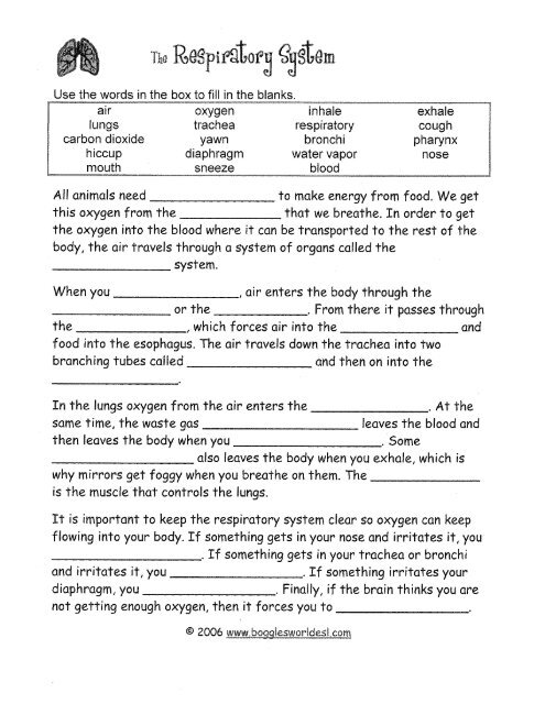 respiratory worksheet answers