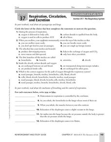 respiratory worksheet answers