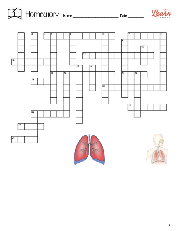 Respiratory System