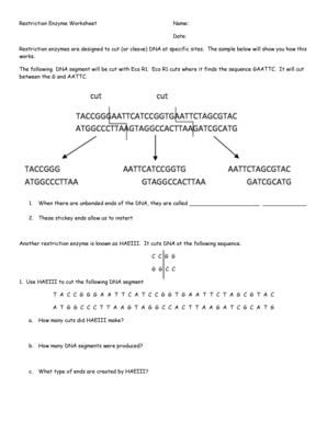 Restriction Enzyme Worksheet Fill and Sign Printable Template Online