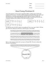 Gene Cloning Worksheet #1 Worksheet for 9th - 12th Grade | Lesson ...