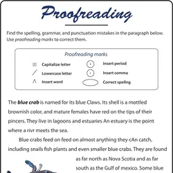 Printable 4th Grade Revising Writing Worksheets 