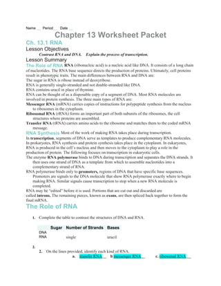 rna transcription worksheet