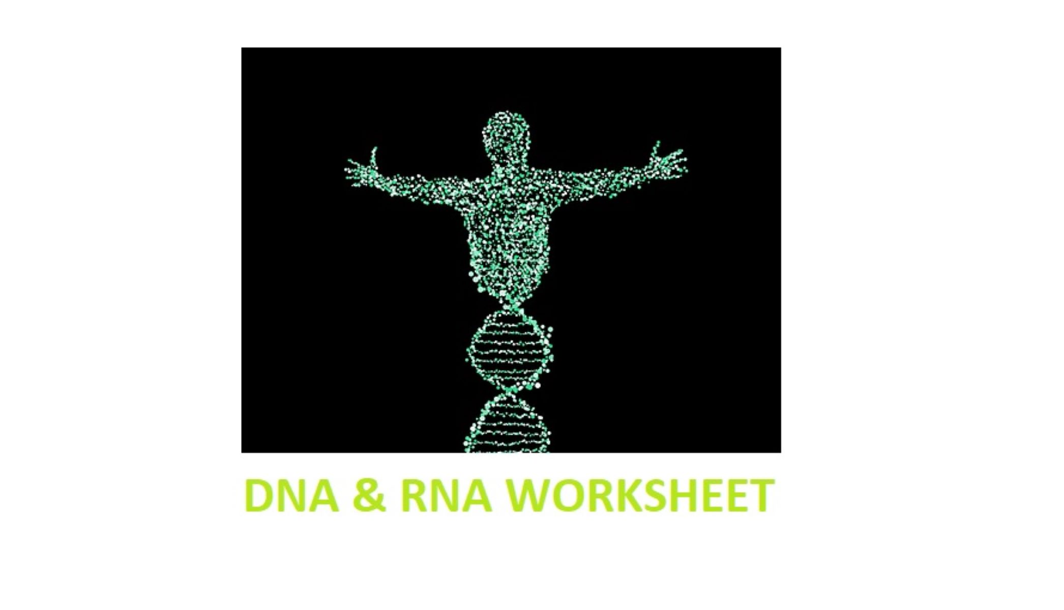Dna and Rna Lesson Plans & Worksheets 25 48 Worksheets Library